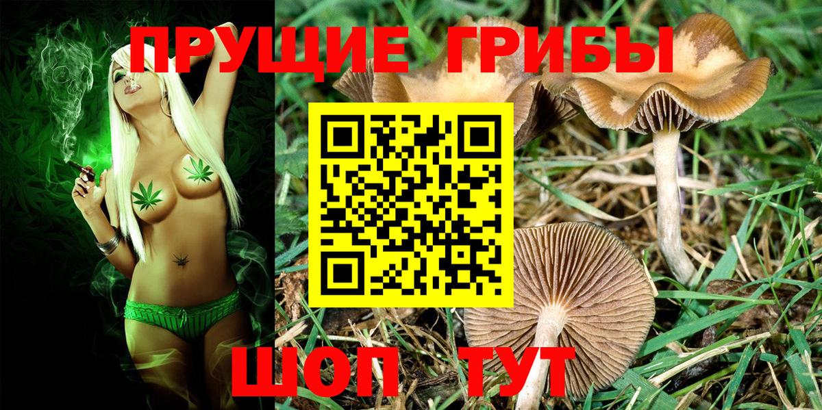Чусовой  Галлюциногенные грибы мицелий  Вход с VPN 